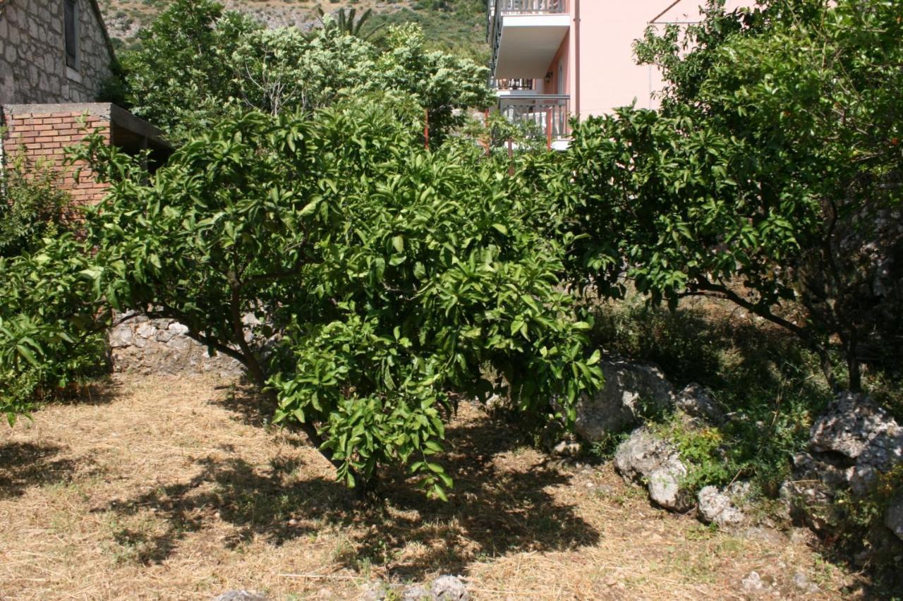 Apartments By The Sea Podaca, Makarska - 6874 Bagian luar foto